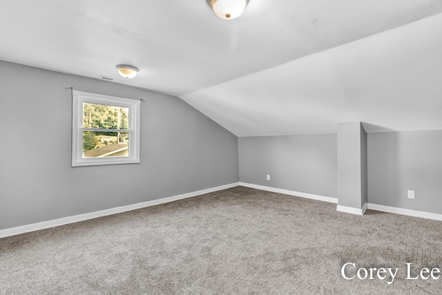 413 W Riverside Dr, Ionia, MI 48846 - bonus room featuring lofted ceiling and carpet