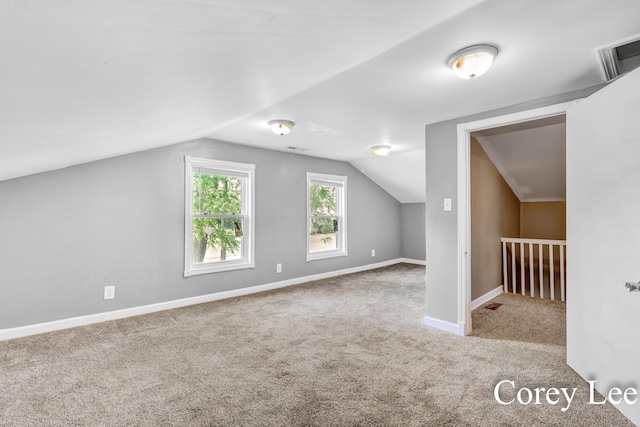 413 W Riverside Dr, Ionia, MI 48846 - bonus room with carpet and vaulted ceiling