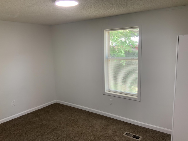 8356 Constitution Blvd, Cadillac, MI 49601 - spare room with dark colored carpet, healthy amount of natural light, and a textured ceiling