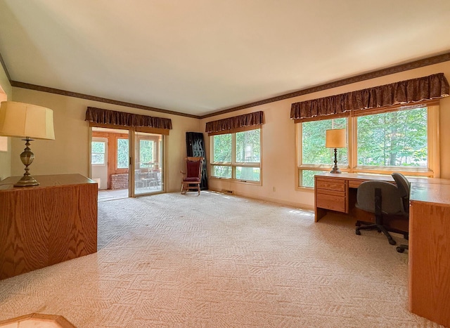 57081 M 51 S, Dowagiac, MI 49047 - home office featuring light colored carpet and crown molding