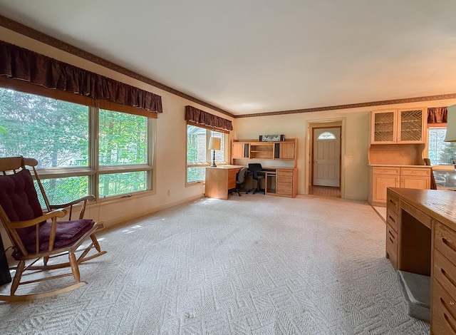 57081 M 51 S, Dowagiac, MI 49047 - home office with light colored carpet and baseboards