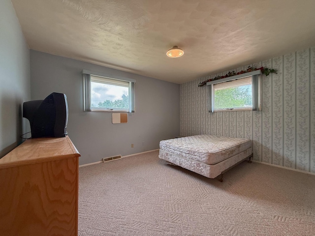57081 M 51 S, Dowagiac, MI 49047 - carpeted bedroom featuring multiple windows and wallpapered walls