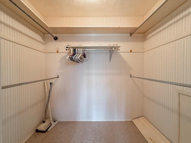 57081 M 51 S, Dowagiac, MI 49047 - view of spacious closet
