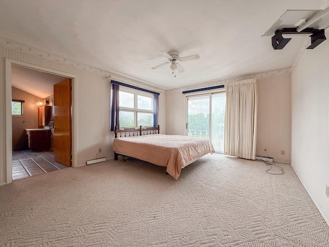 57081 M 51 S, Dowagiac, MI 49047 - bedroom with carpet floors, access to outside, and multiple windows