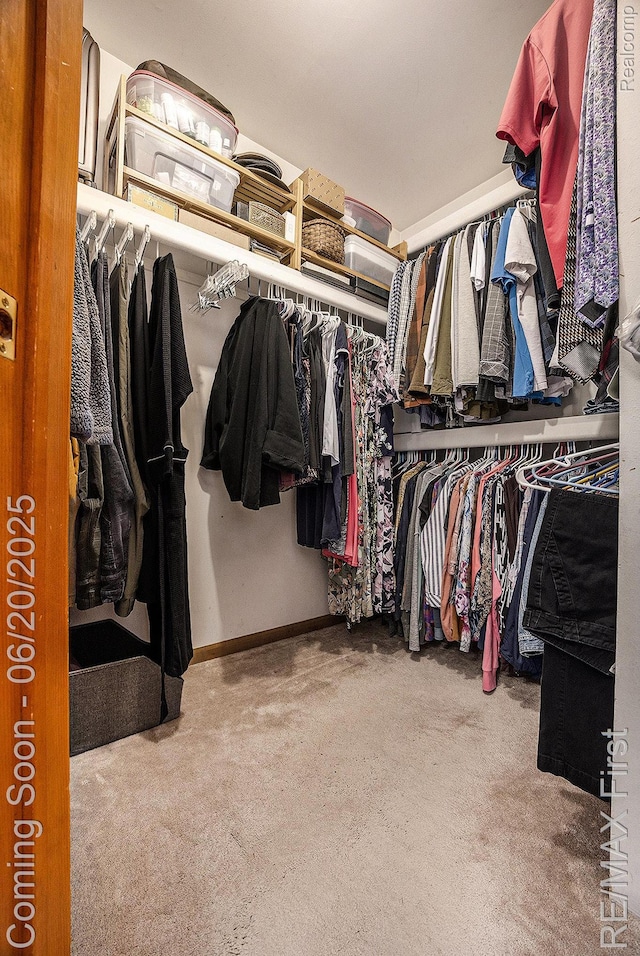 33550 24 Mile Rd, Chesterfield, MI 48047 - spacious closet featuring carpet
