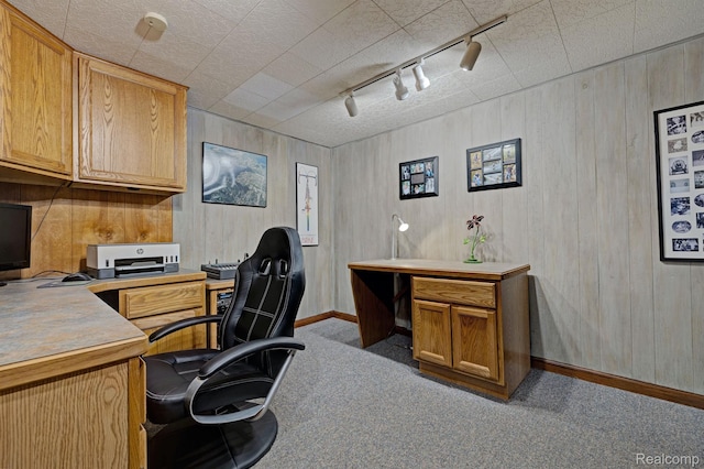 4030 Rollins Ave, Waterford, MI 48329 - home office with rail lighting, carpet, and wooden walls