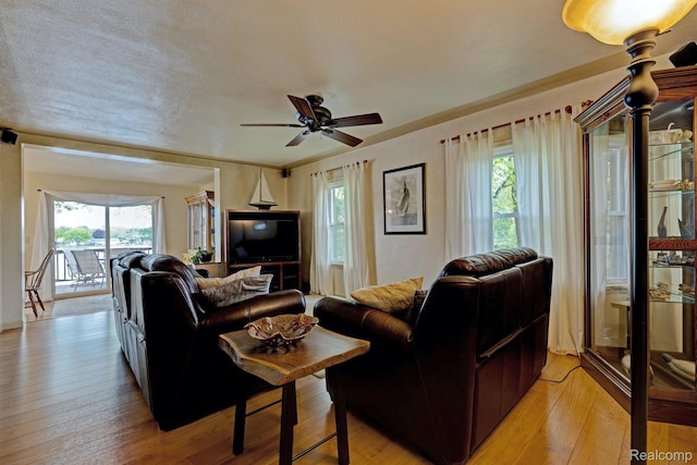 4030 Rollins Ave, Waterford, MI 48329 - living area featuring plenty of natural light, light wood-style floors, and a ceiling fan