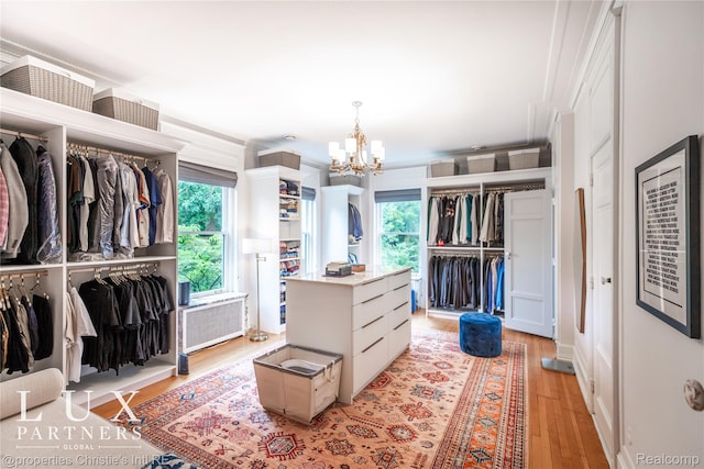 2150 Iroquois St, Detroit, MI 48201 - walk in closet with a chandelier, radiator heating unit, and light wood-style flooring