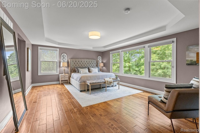 23736 Point O Woods Ct, South Lyon, MI 48178 - bedroom with a tray ceiling and light wood-style flooring