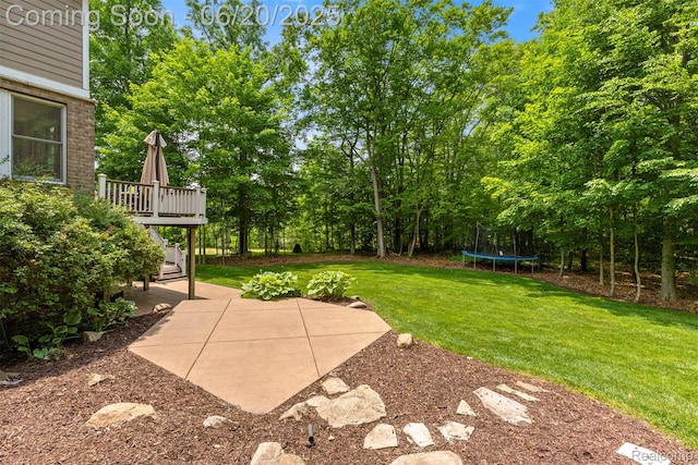 23736 Point O Woods Ct, South Lyon, MI 48178 - view of green lawn with a trampoline, a patio, a wooden deck, and view of scattered trees