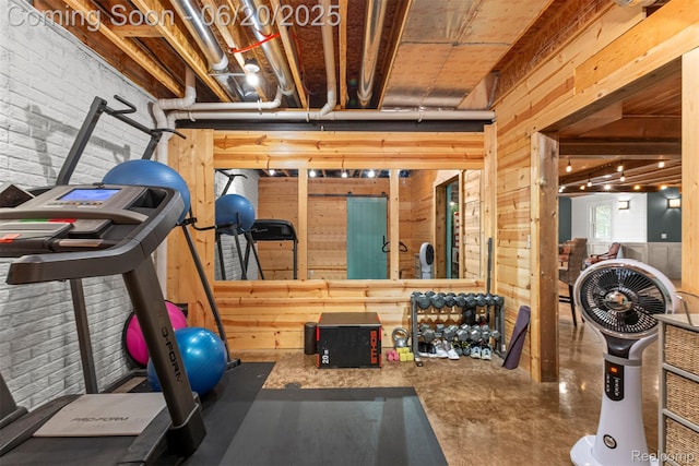 23736 Point O Woods Ct, South Lyon, MI 48178 - exercise area with wood walls