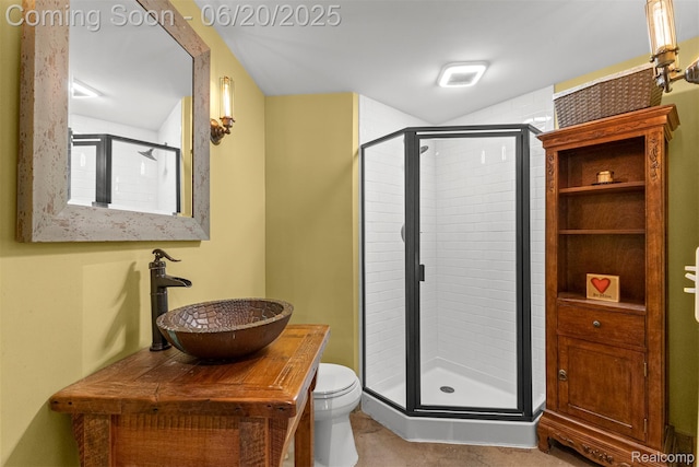 23736 Point O Woods Ct, South Lyon, MI 48178 - bathroom with a shower stall and vanity