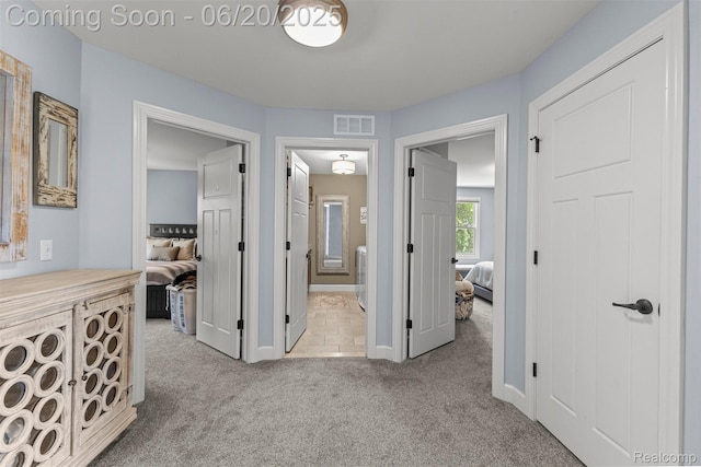 23736 Point O Woods Ct, South Lyon, MI 48178 - corridor with carpet floors and baseboards