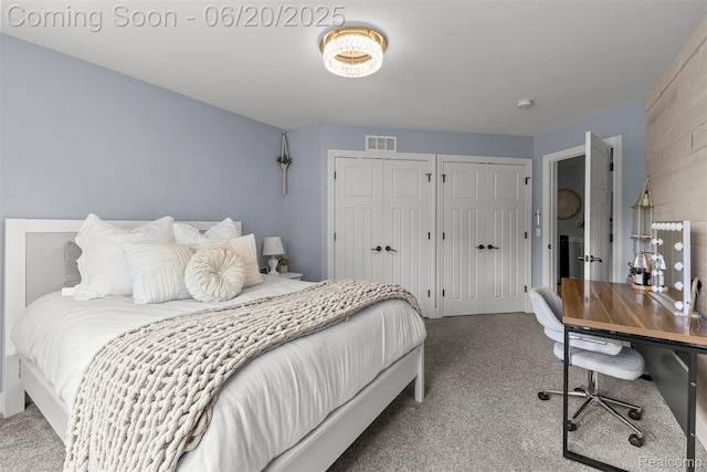 23736 Point O Woods Ct, South Lyon, MI 48178 - carpeted bedroom with two closets and an office area