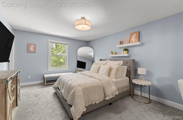 23736 Point O Woods Ct, South Lyon, MI 48178 - carpeted bedroom featuring arched walkways and baseboards