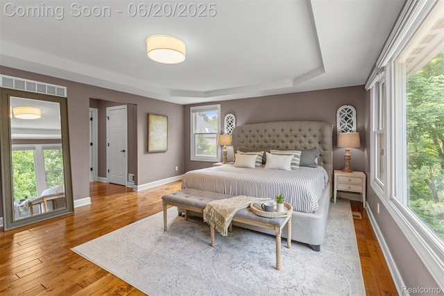 23736 Point O Woods Ct, South Lyon, MI 48178 - bedroom with a raised ceiling and hardwood / wood-style flooring