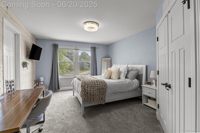23736 Point O Woods Ct, South Lyon, MI 48178 - view of carpeted bedroom