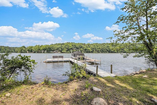 3589 Shoreline Dr, Allegan, MI 49010 - photo 37