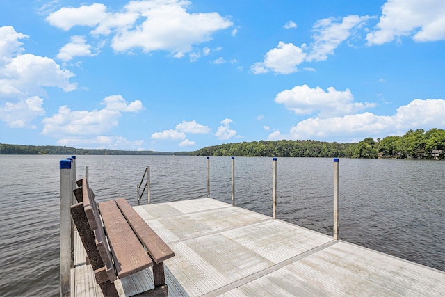 3589 Shoreline Dr, Allegan, MI 49010 - photo 39