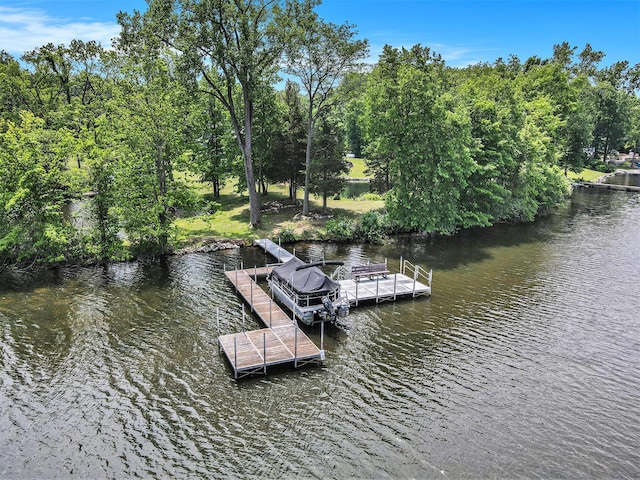 3589 Shoreline Dr, Allegan, MI 49010 - photo 43