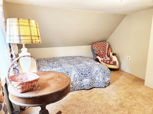 350 S Catalpa Ave, White Cloud, MI 49349 - bedroom with carpet floors and vaulted ceiling