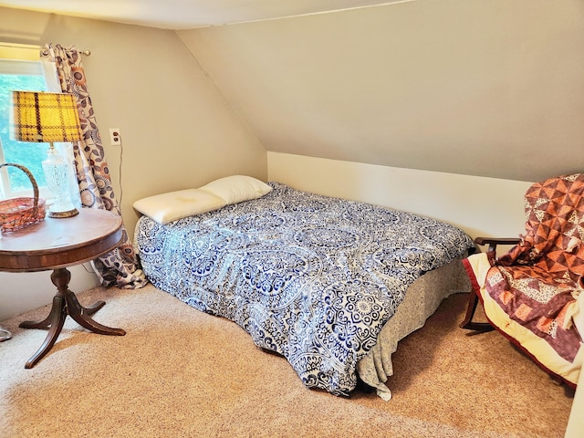 350 S Catalpa Ave, White Cloud, MI 49349 - carpeted bedroom with lofted ceiling