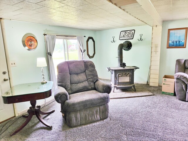 350 S Catalpa Ave, White Cloud, MI 49349 - living area featuring carpet flooring and a wood stove
