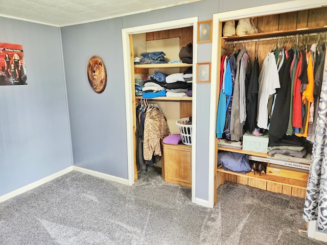 350 S Catalpa Ave, White Cloud, MI 49349 - view of closet