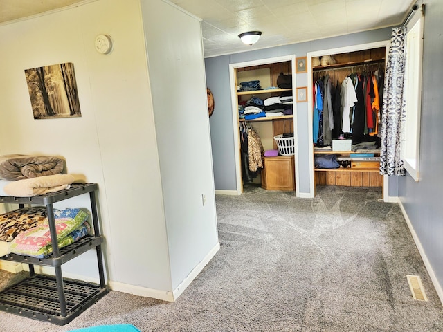 350 S Catalpa Ave, White Cloud, MI 49349 - carpeted bedroom featuring multiple closets and baseboards