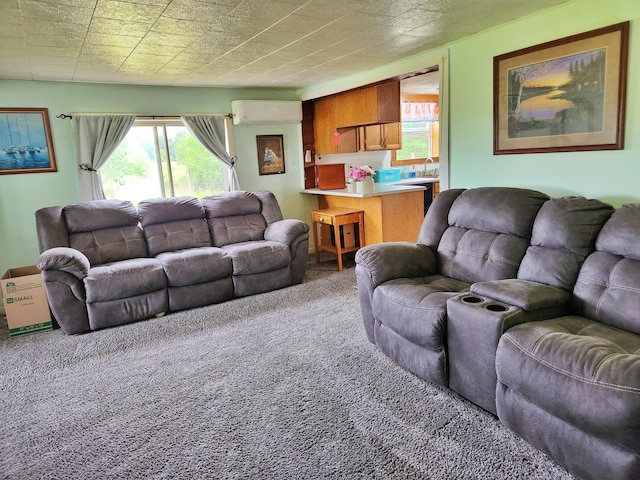 350 S Catalpa Ave, White Cloud, MI 49349 - living room with light colored carpet and a wall mounted AC