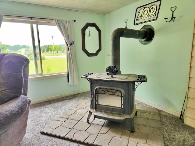 350 S Catalpa Ave, White Cloud, MI 49349 - living area featuring a wood stove, plenty of natural light, and carpet