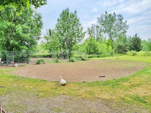 350 S Catalpa Ave, White Cloud, MI 49349 - view of grassy yard