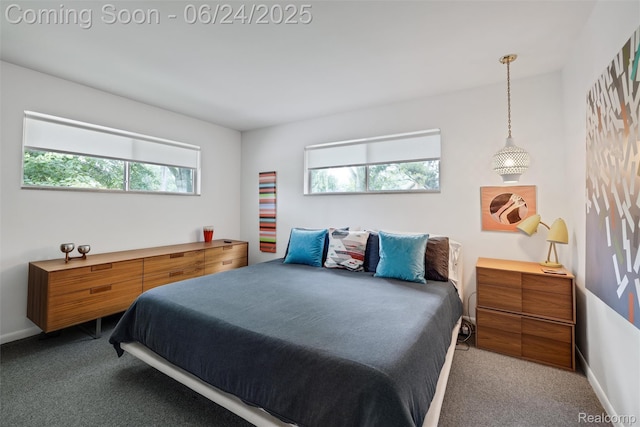 6895 Cedarbrook Dr, Bloomfield Hills, MI 48301 - bedroom with carpet and multiple windows