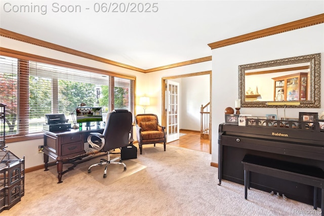 459 N Elms Rd, Flushing, MI 48433 - carpeted office featuring crown molding and healthy amount of natural light