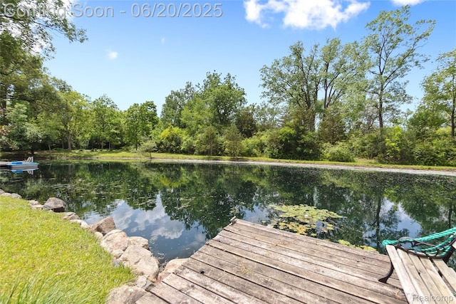 459 N Elms Rd, Flushing, MI 48433 - dock featuring a water view