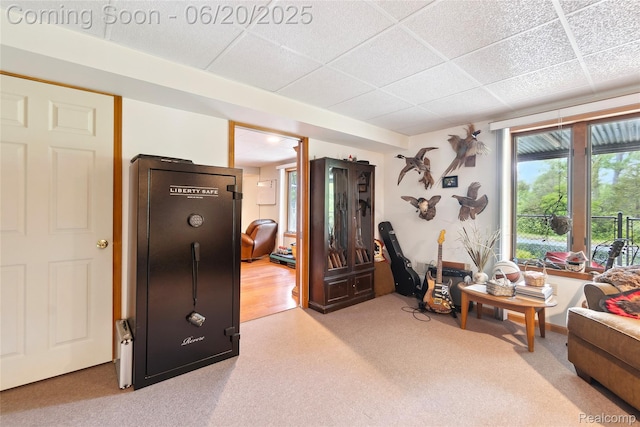 459 N Elms Rd, Flushing, MI 48433 - living area featuring carpet floors and a paneled ceiling