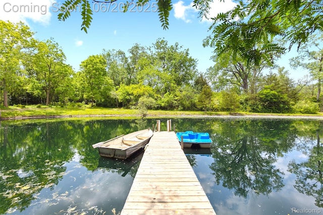 459 N Elms Rd, Flushing, MI 48433 - dock area featuring a water view