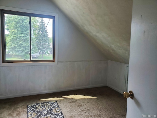 115 Choctaw Trl, Prudenville, MI 48651 - additional living space featuring lofted ceiling, healthy amount of natural light, and carpet flooring