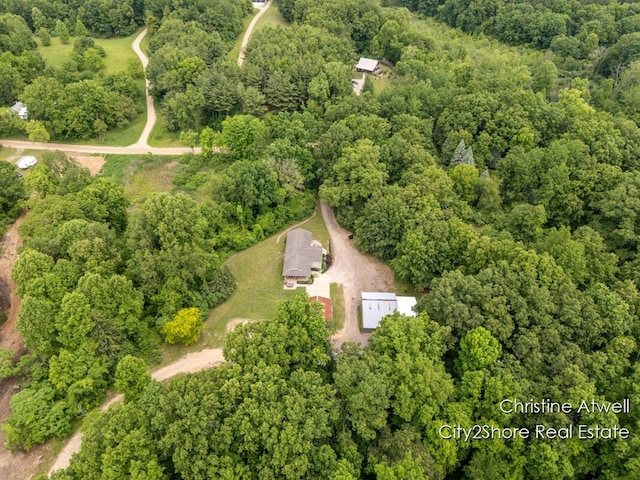 1495 Yeckley Rd, Hastings, MI 49058 - aerial view of property and surrounding area with a forest