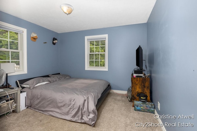 1495 Yeckley Rd, Hastings, MI 49058 - carpeted bedroom with multiple windows