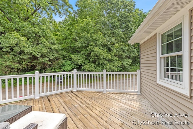 1495 Yeckley Rd, Hastings, MI 49058 - view of deck