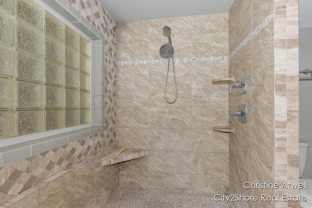 1495 Yeckley Rd, Hastings, MI 49058 - full bath featuring tiled shower