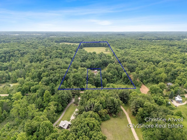 1495 Yeckley Rd, Hastings, MI 49058 - aerial overview of property's location with a heavily wooded area and property parcel outlined