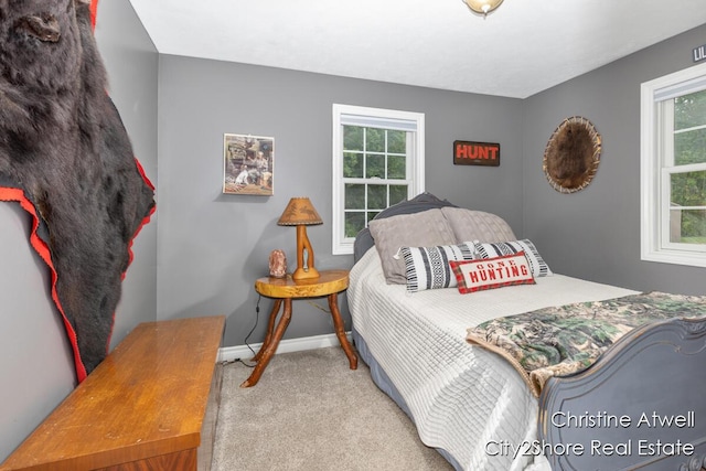 1495 Yeckley Rd, Hastings, MI 49058 - carpeted bedroom with baseboards