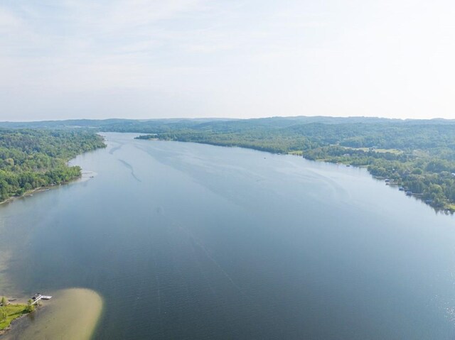 1851 S Lake Shore Dr, Lake Leelanau, MI 49653 - photo 10
