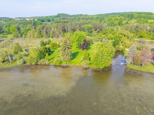 1851 S Lake Shore Dr, Lake Leelanau, MI 49653 - photo 12