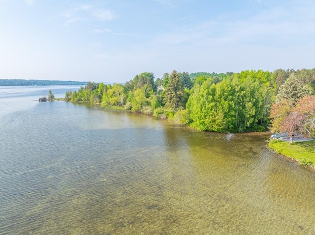 1851 S Lake Shore Dr, Lake Leelanau, MI 49653 - photo 14