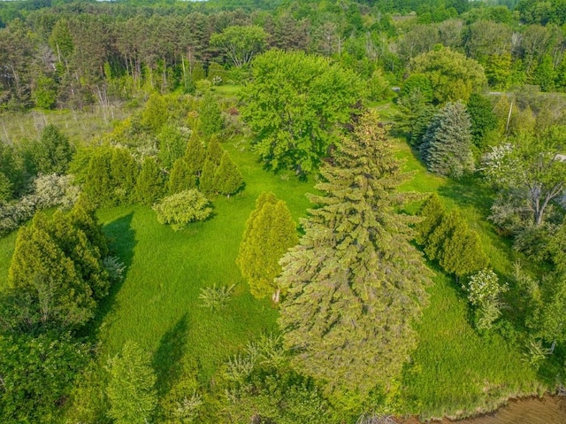 1851 S Lake Shore Dr, Lake Leelanau, MI 49653 - photo 16