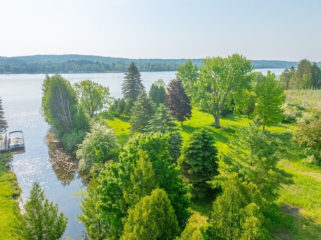 1851 S Lake Shore Dr, Lake Leelanau, MI 49653 - photo 18