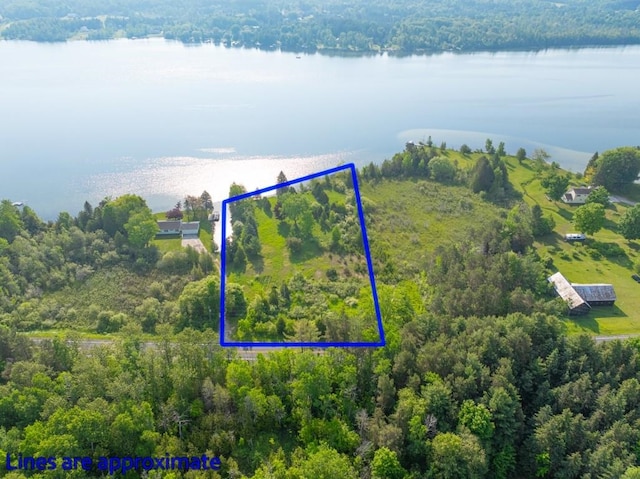 1851 S Lake Shore Dr, Lake Leelanau, MI 49653 - photo 2